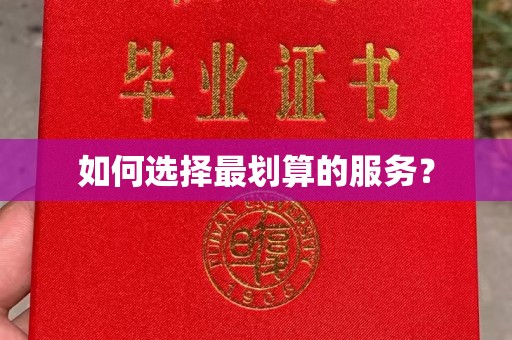 鲤城如何选择最划算的服务？