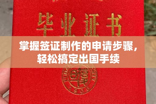 鲤城掌握签证制作的申请步骤，轻松搞定出国手续