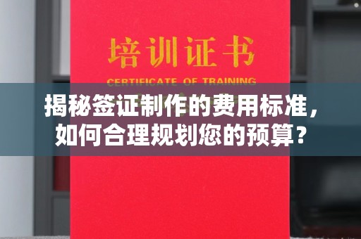 鲤城揭秘签证制作的费用标准，如何合理规划您的预算？