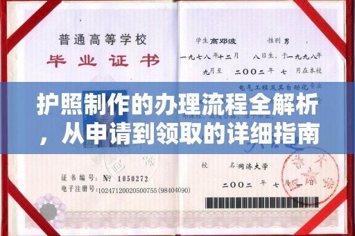 鲤城护照制作的办理流程全解析，从申请到领取的详细指南