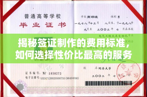 鲤城揭秘签证制作的费用标准，如何选择性价比最高的服务？