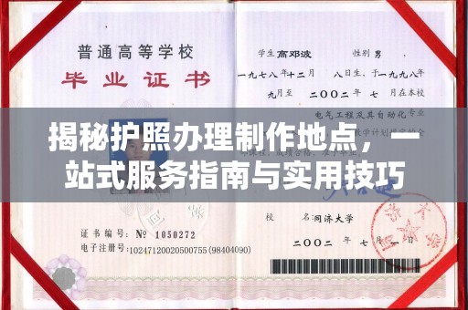 鲤城揭秘护照办理制作地点，一站式服务指南与实用技巧