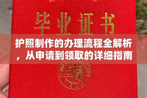 鲤城护照制作的办理流程全解析，从申请到领取的详细指南