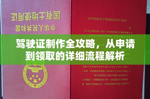 鲤城驾驶证制作全攻略，从申请到领取的详细流程解析