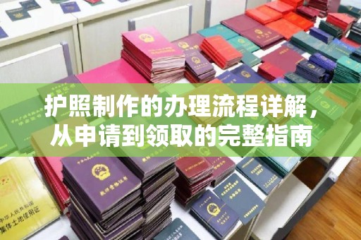 鲤城护照制作的办理流程详解，从申请到领取的完整指南